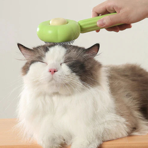 Pet Hair Brush - Self-Cleaning Pins Comb