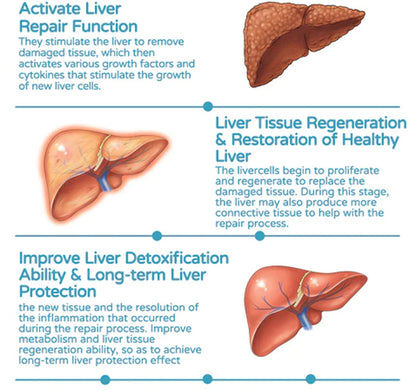 Toxcur™ Liver Detox & Repair Patch